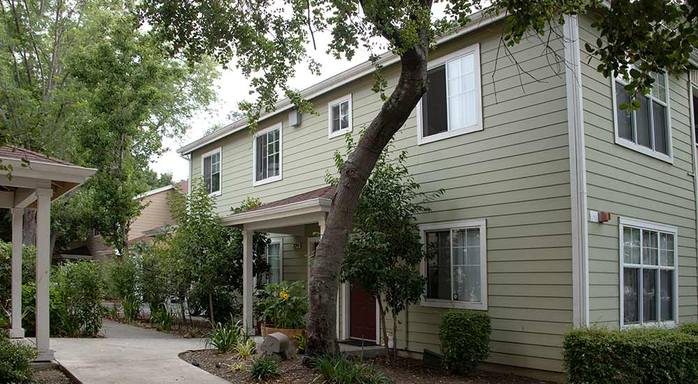 A two-story house with green siding and white trim, surrounded by trees and shrubs, with a paved walkway in front.