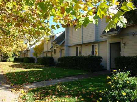 Row of townhouses with light gray siding surrounded by greenery and trees with autumn leaves. A walkway runs parallel to the houses.